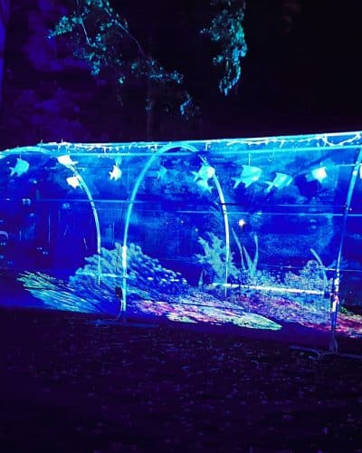Wassereffekt Wasserprojektor