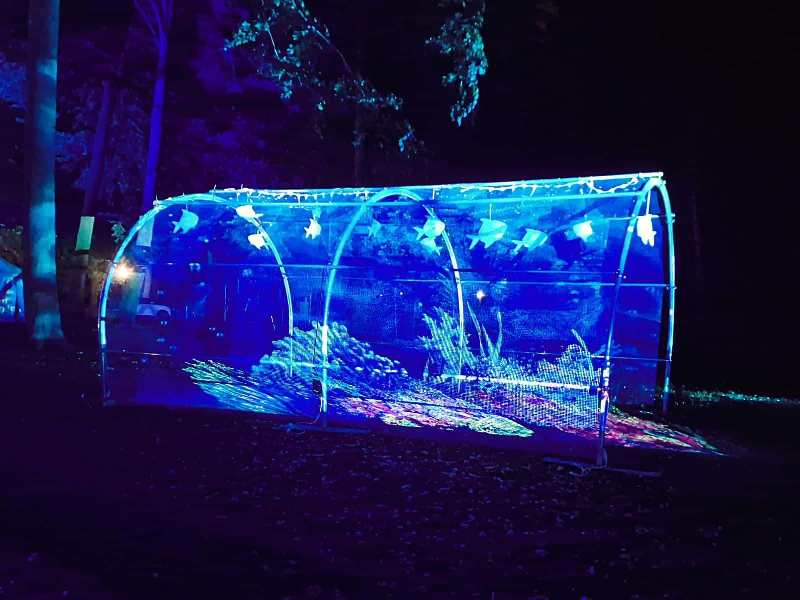 Wasserprojektor