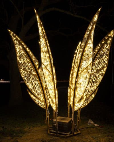 Federn Leuchtende Federn mieten