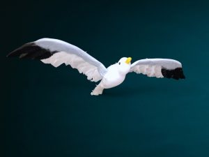 Deko Möwen zu mieten