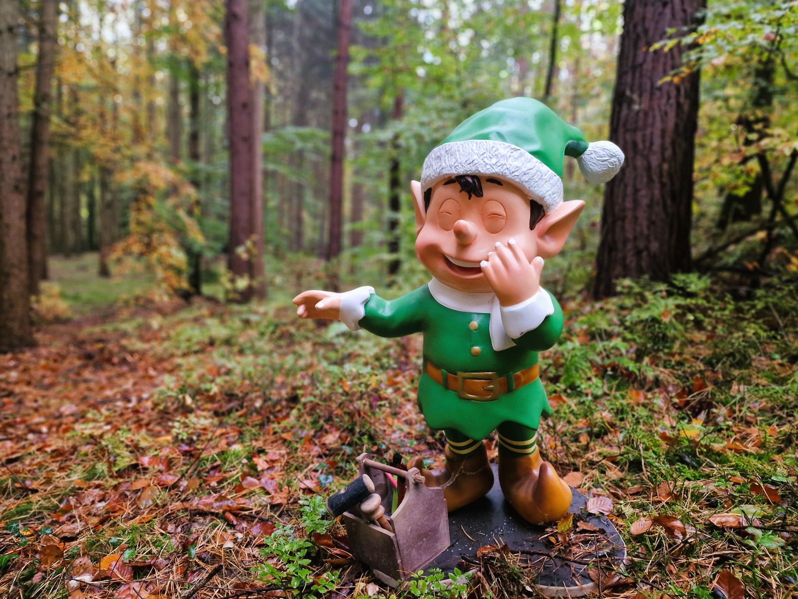 Wichtel Weihnachtsmarkt