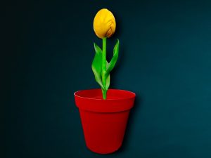 XXL Blumentopf mieten