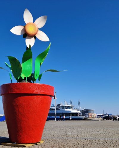 Frühlingsdekoration Event