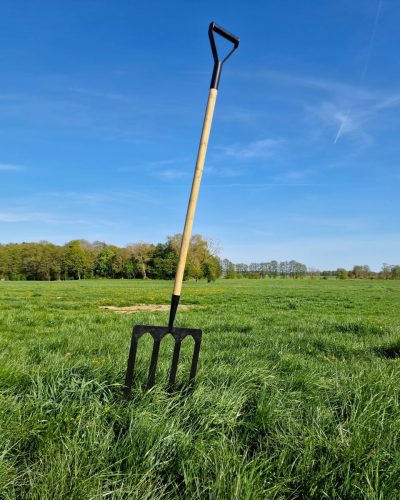 Riesen Forke Frühlingsdekoration mieten