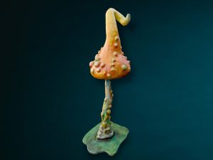 Wonderland Pilze
