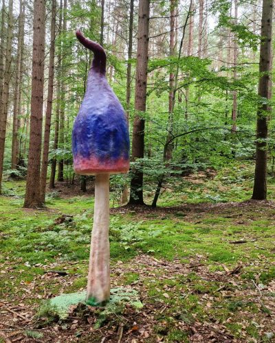 Wunderland Pilze