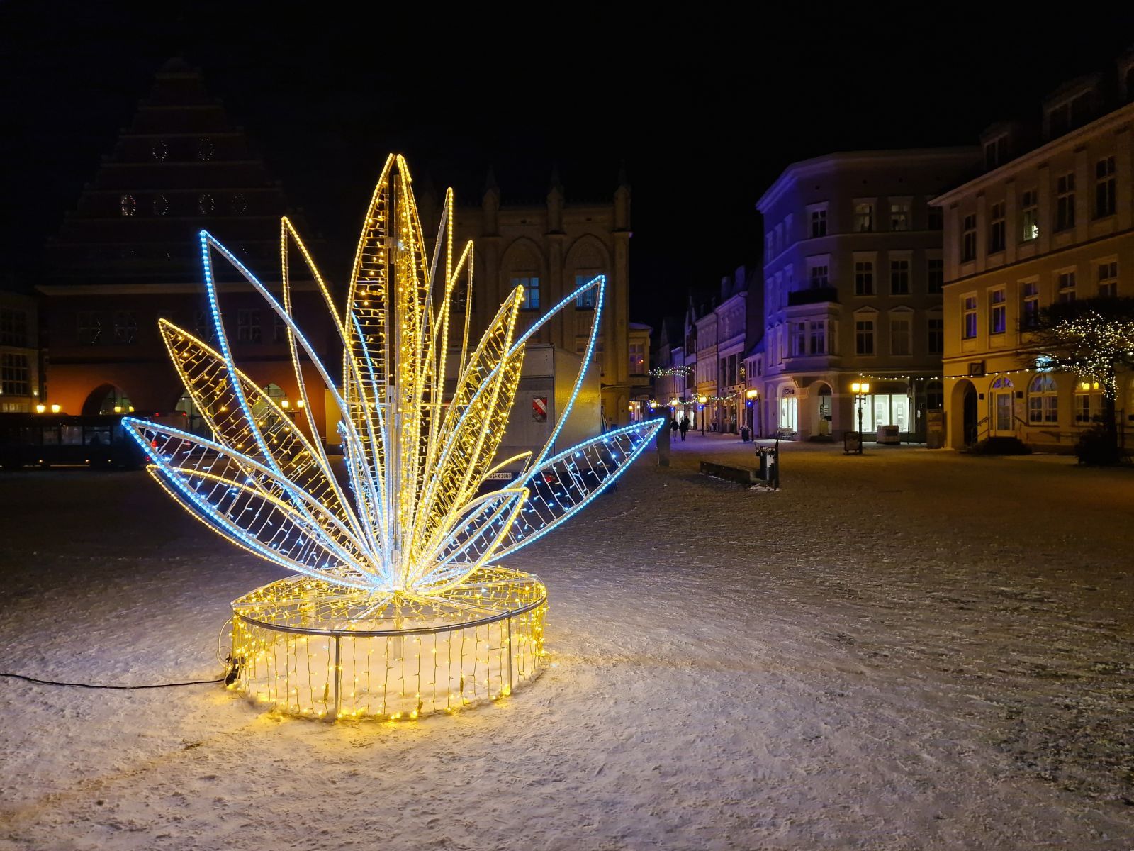 Beleuchtete Seerose mieten