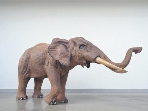 Elefant mieten