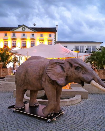 Elefant 33 Zirkus Elefant