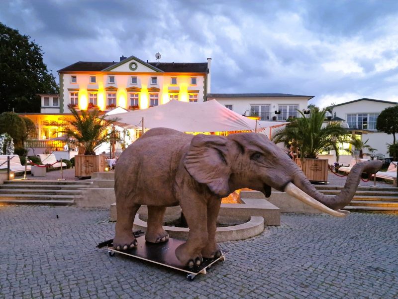 Zirkus Elefant