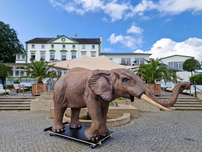Miete dir ein Elefant