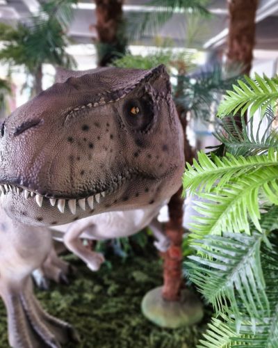 Dinosaurier mieten