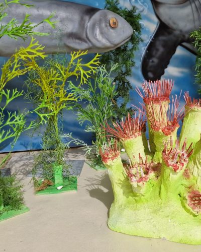 Unterwasser Ausstattung mieten