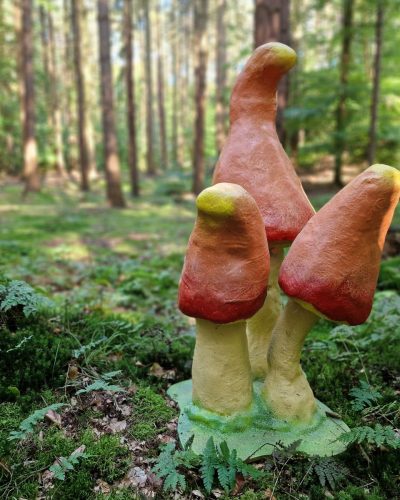 Wonderland Pilz mieten