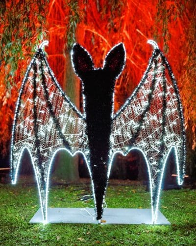 Halloween Fledermaus Fotopoint