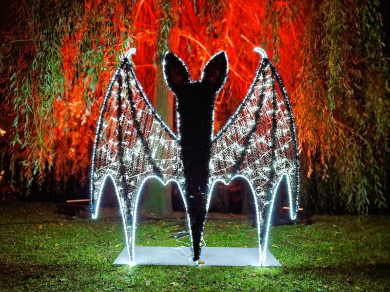Halloween Fledermaus Fotopoint
