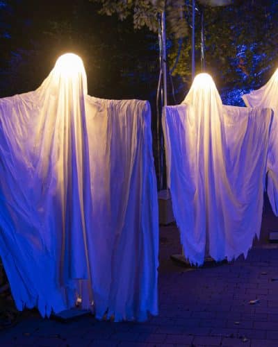 Animierte Licht Geister Halloween mieten