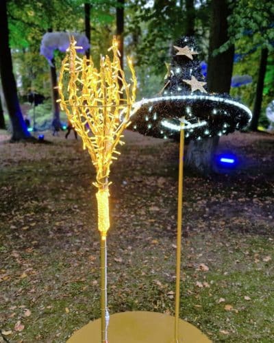 Hexenbesen LED mieten