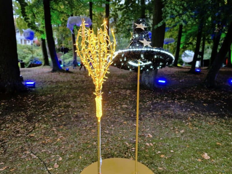 Hexenbesen LED mieten
