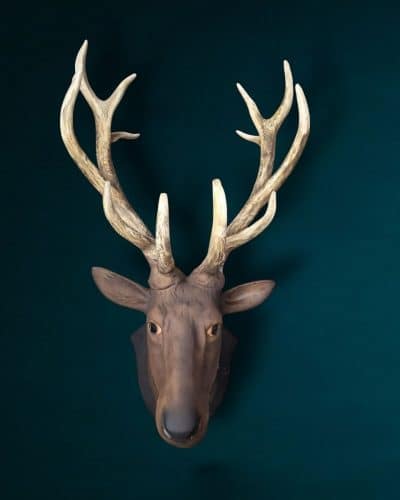 Hirschgeweih mieten