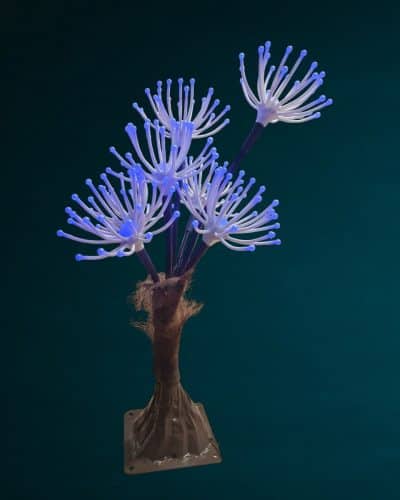 Unterwasser Dekoration