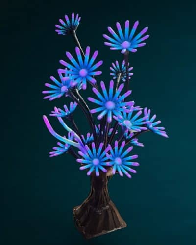 Leuchtende Korallen Dekoration