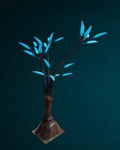 Leuchtende Unterwasser Koralle mieten