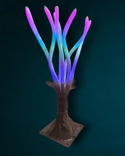 Koralle beleuchtet Event