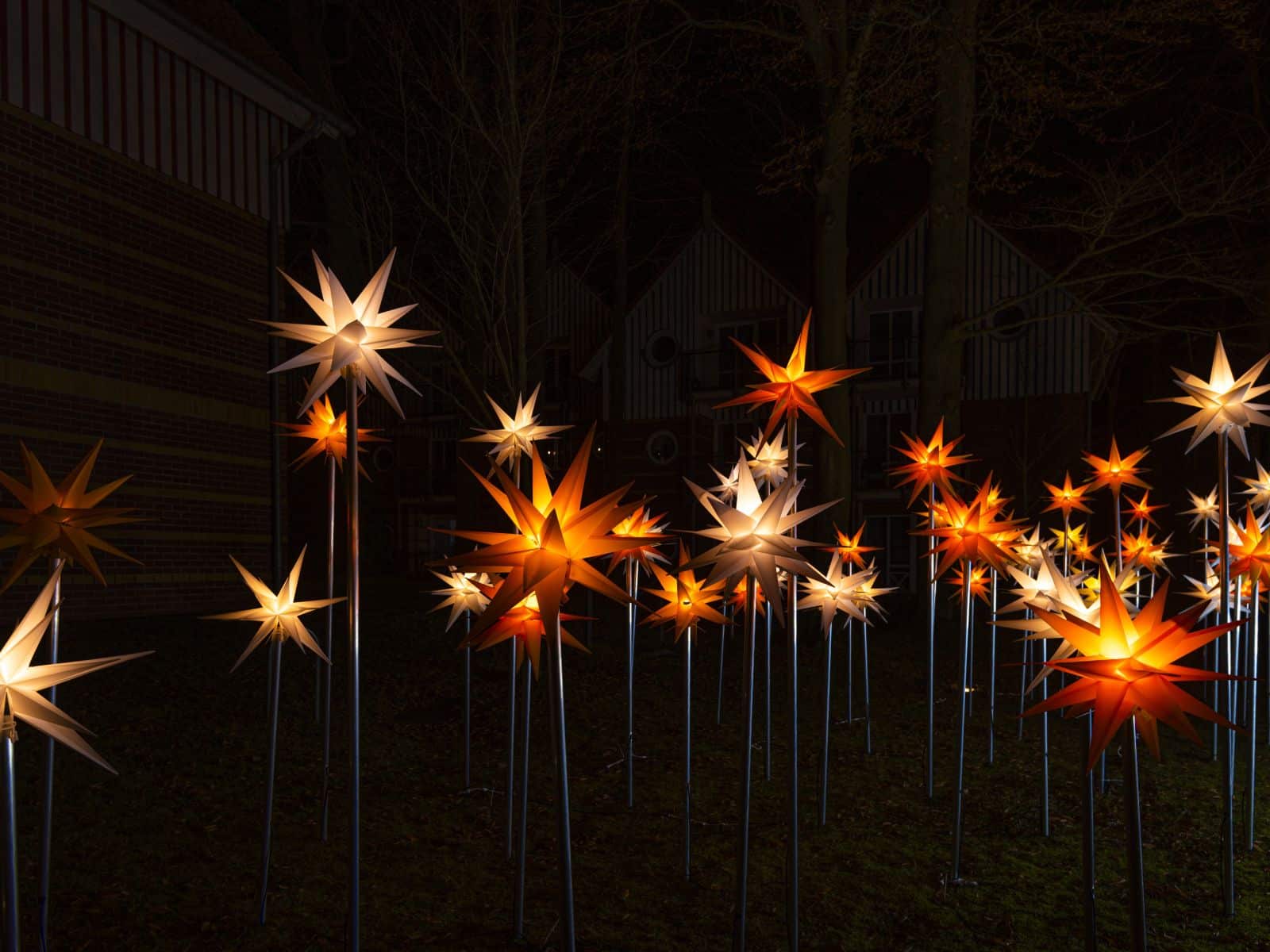 Leuchtende Sterne für Events