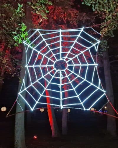 Licht Spinnennetz Halloween mieten