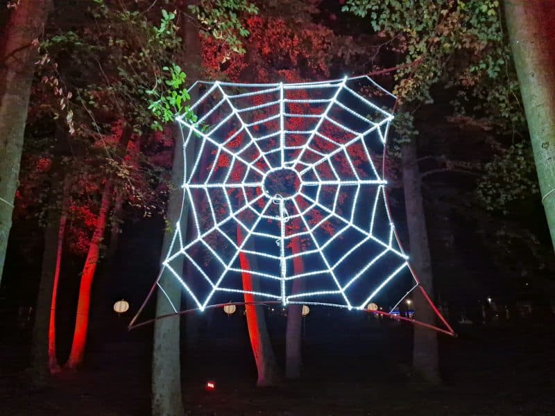 Licht Spinnennetz Halloween mieten