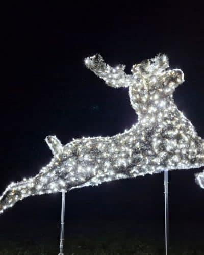 Leuchtendes Rentier mieten