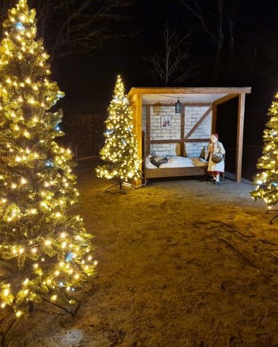 Leuchtende Weihnachtsbäume