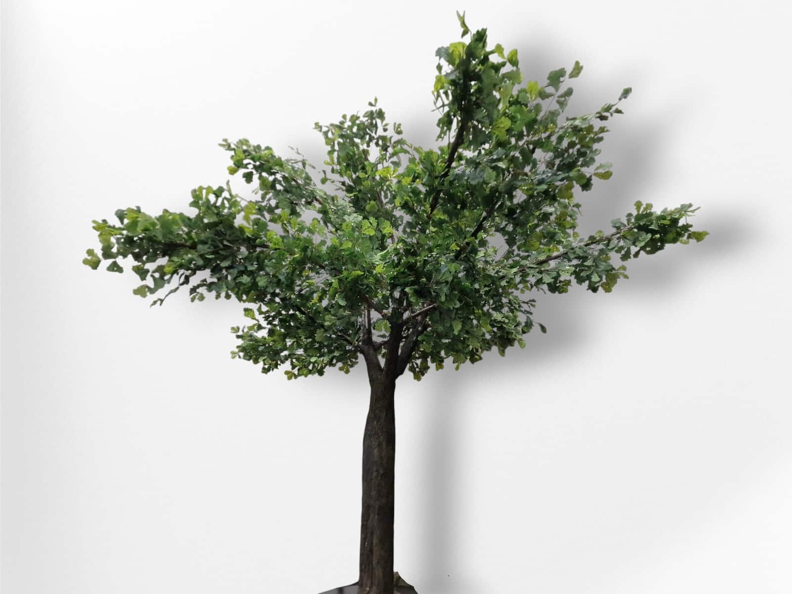 Eichen Baum - groß ∗ No.12