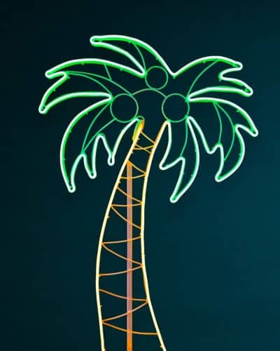 Leuchtende Palme Deko
