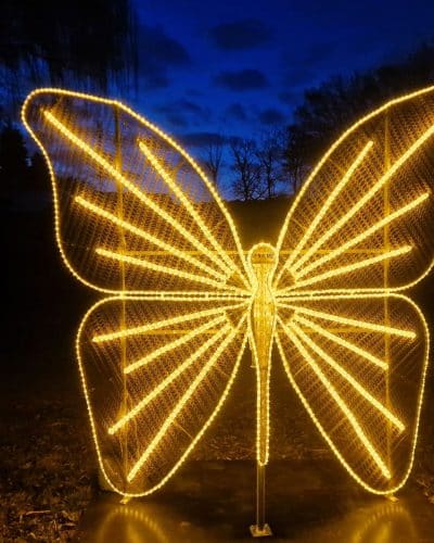 Fotopoint Schmetterling