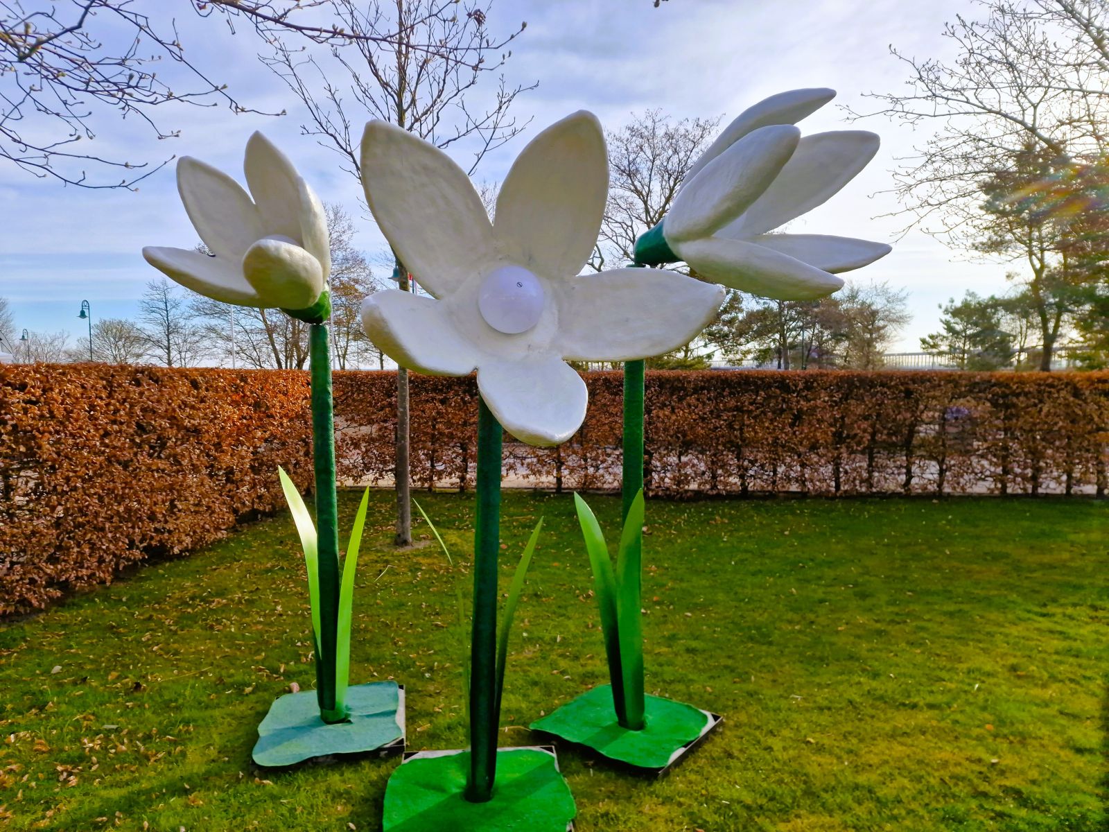 Gigant Blumen leihen