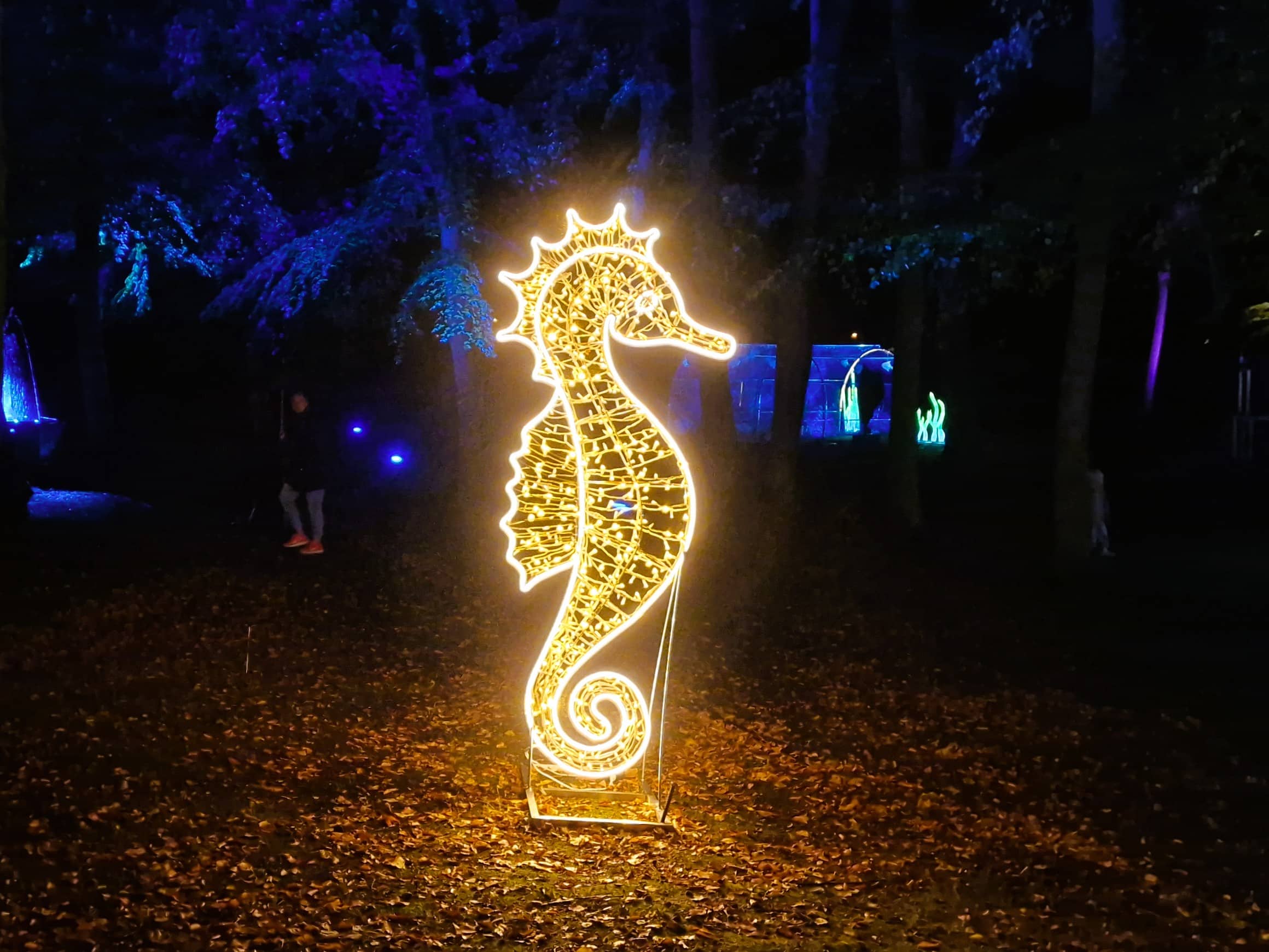 Seepferdchen mieten für Lichtfeste
