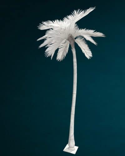 Weiße Palme mieten