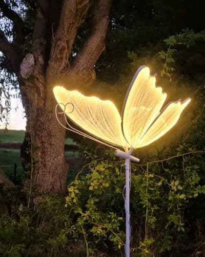 LEd Licht Scchmetterling Mieten