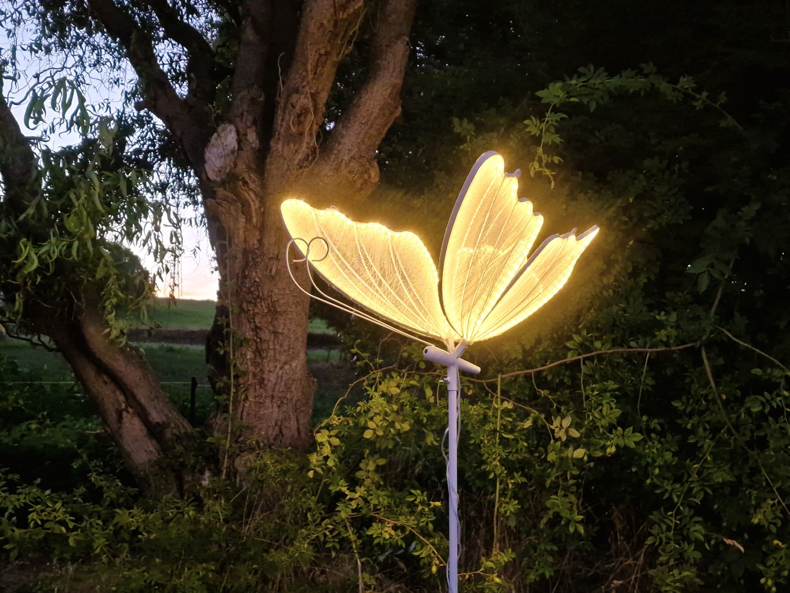 LEd Licht Scchmetterling Mieten