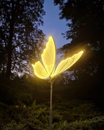 Schmetterling 67397 Schmetterling LED