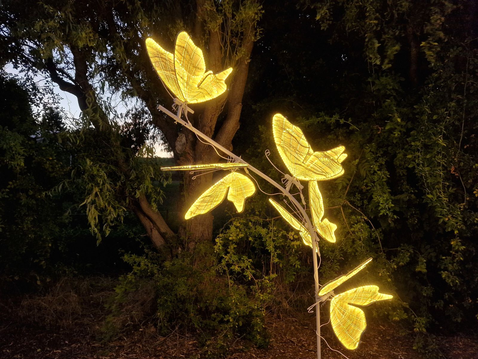 Schmetterlings Eingang LED Licht