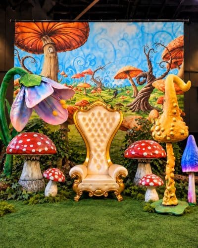 Wonderland