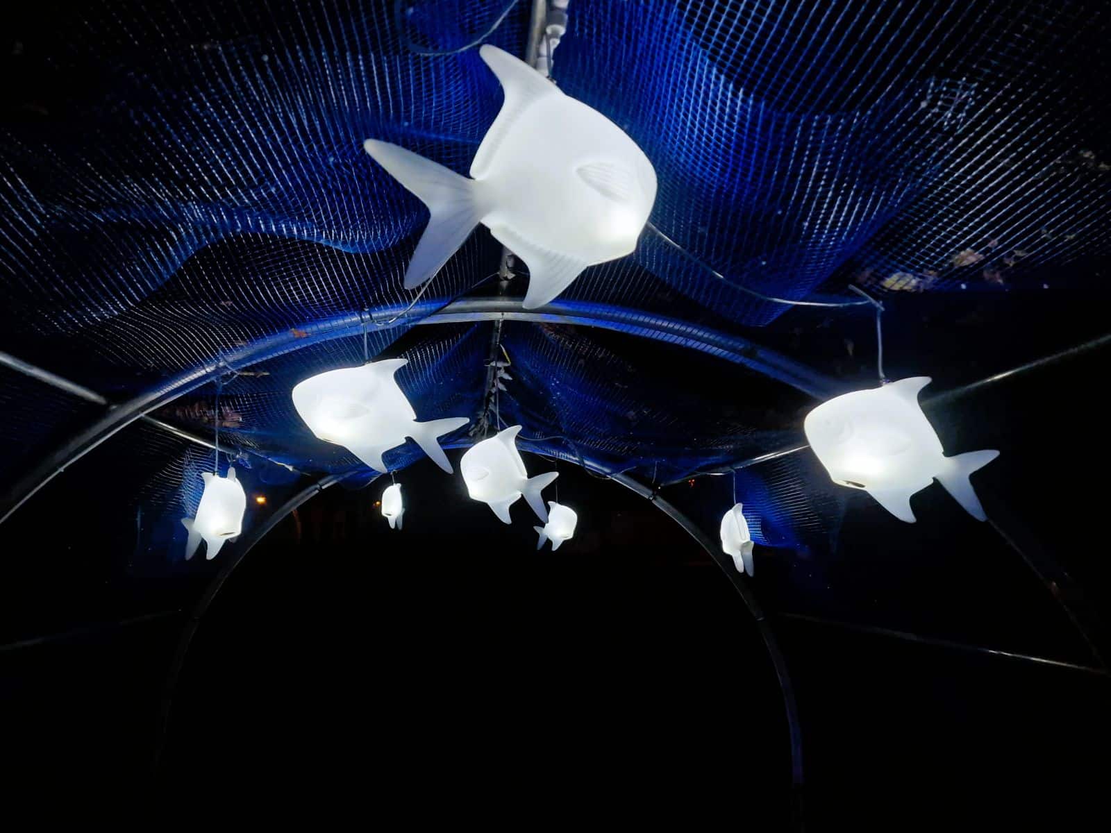 LED Fische ∗ No.5 – Bild 2