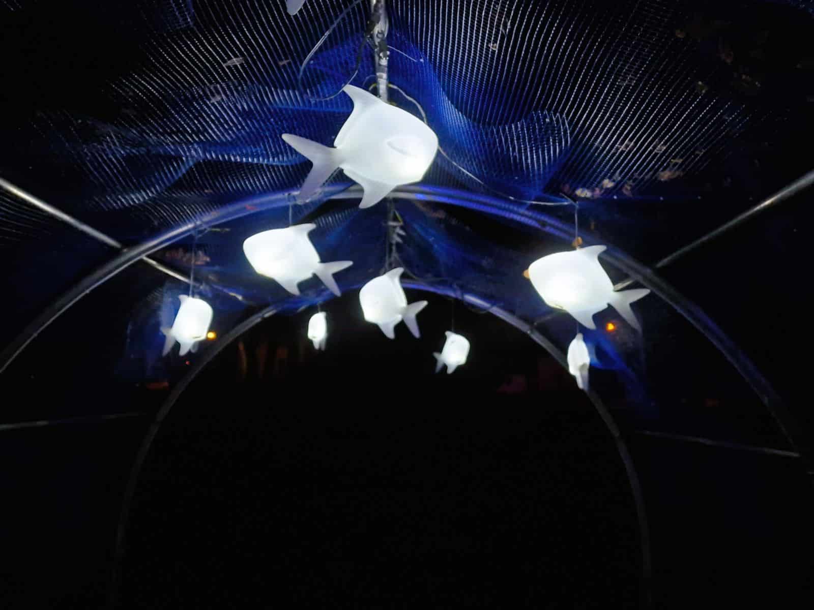 LED Fische mieten