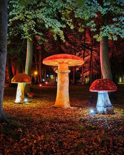 Pilze