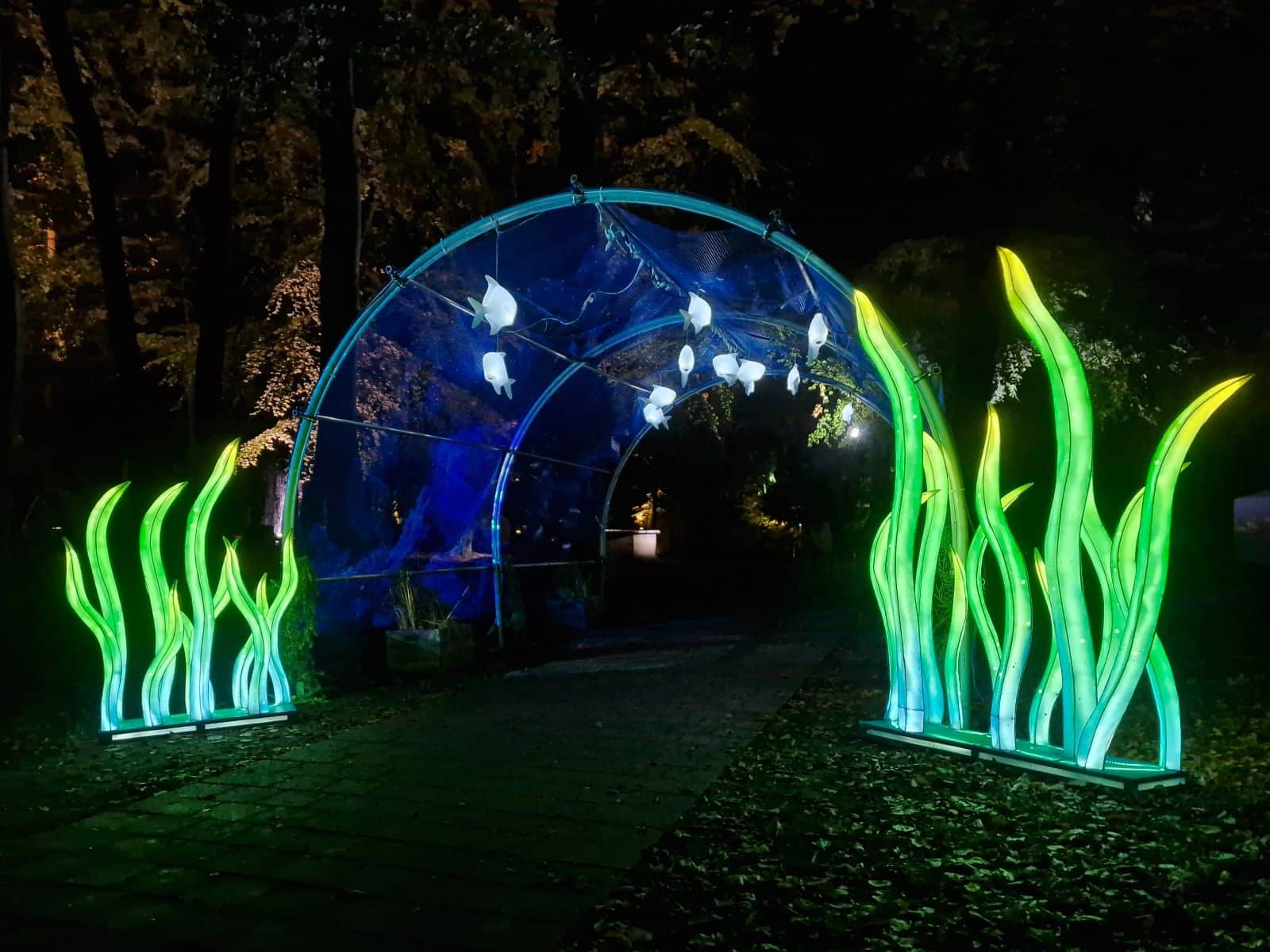Lichttunnel für Events